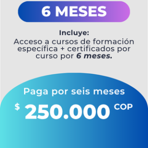Plan Individual 6 Meses